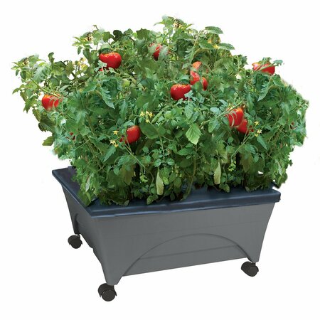 CITY PICKERS Raised Bed Grow Box, Self Watering and Improved Aeration, Mobile Unit with Casters, Slate 2346-1HD